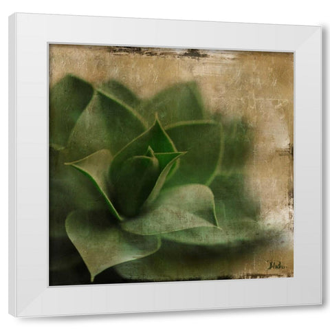 Succulent II White Modern Wood Framed Art Print by Pinto, Patricia
