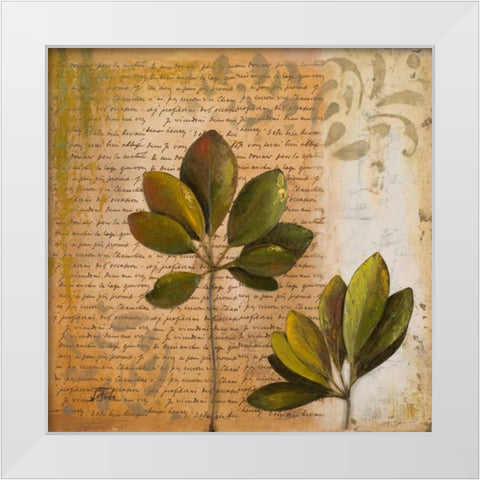 Botanica II White Modern Wood Framed Art Print by Pinto, Patricia