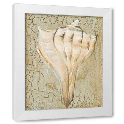 Seashell II White Modern Wood Framed Art Print by Hakimipour-Ritter