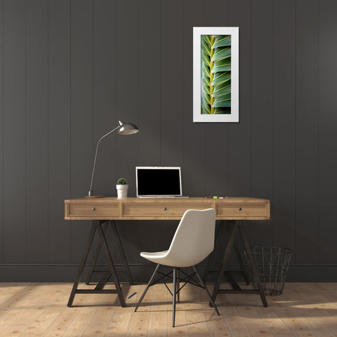 Palma I White Modern Wood Framed Art Print by Bryant, Susan