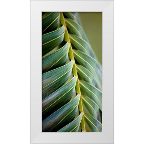 Palma II White Modern Wood Framed Art Print by Bryant, Susan