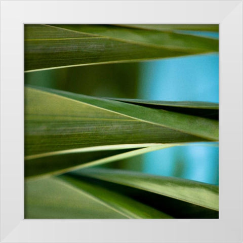 Palma III White Modern Wood Framed Art Print by Bryant, Susan