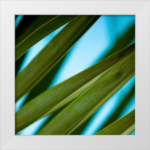 Palma IV White Modern Wood Framed Art Print by Bryant, Susan