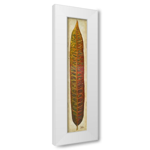 Crotos I White Modern Wood Framed Art Print by Pinto, Patricia