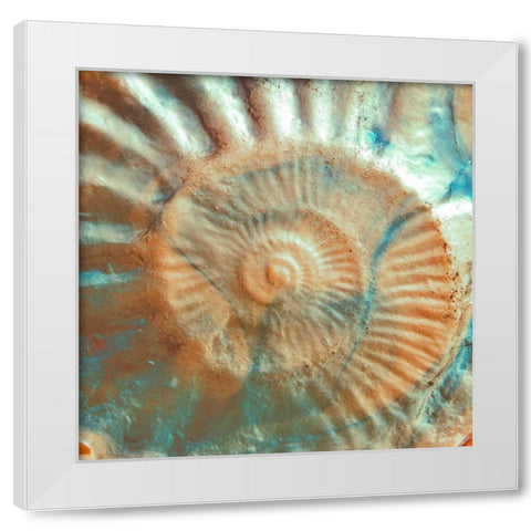Nautique I White Modern Wood Framed Art Print by Rodriguez, Jairo