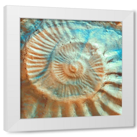 Nautique II White Modern Wood Framed Art Print by Rodriguez, Jairo