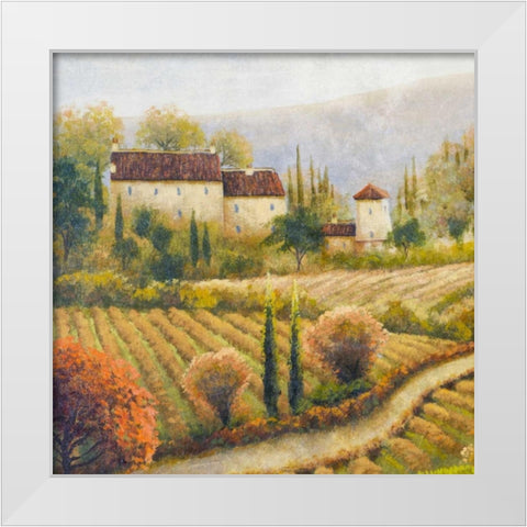 Tuscany Vineyard I White Modern Wood Framed Art Print by Marcon, Michael