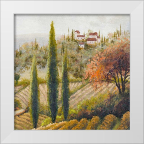 Tuscany Vineyard II White Modern Wood Framed Art Print by Marcon, Michael