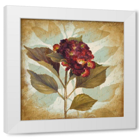 Aubergine Hydrangea Portrait White Modern Wood Framed Art Print by Loreth, Lanie