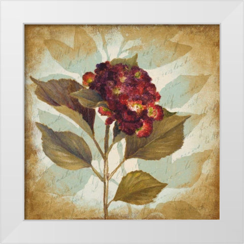 Aubergine Hydrangea Portrait White Modern Wood Framed Art Print by Loreth, Lanie