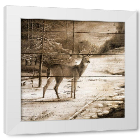 Shadows of the Forest White Modern Wood Framed Art Print by Manning, Ruane