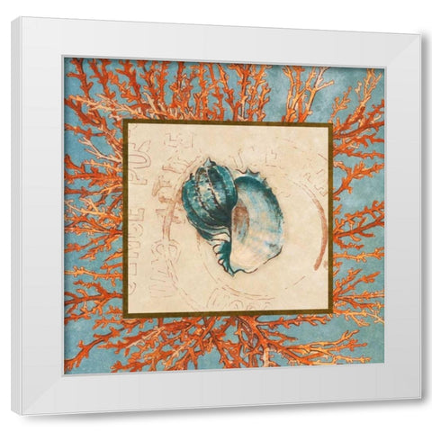 Coral Medley Shell II White Modern Wood Framed Art Print by Loreth, Lanie