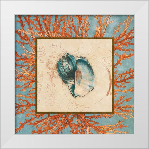 Coral Medley Shell II White Modern Wood Framed Art Print by Loreth, Lanie