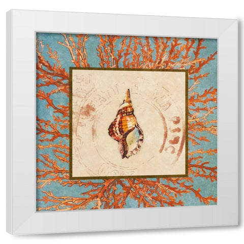 Coral Medley Shell IV White Modern Wood Framed Art Print by Loreth, Lanie