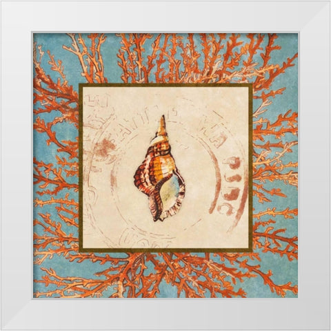 Coral Medley Shell IV White Modern Wood Framed Art Print by Loreth, Lanie