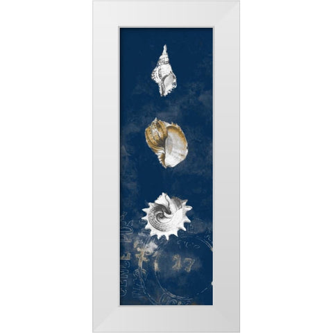 Coastal Shells Panel II White Modern Wood Framed Art Print by Loreth, Lanie