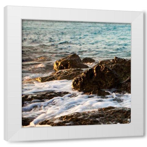 On the Rocks I White Modern Wood Framed Art Print by Bryant, Susan