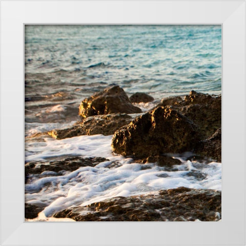 On the Rocks I White Modern Wood Framed Art Print by Bryant, Susan