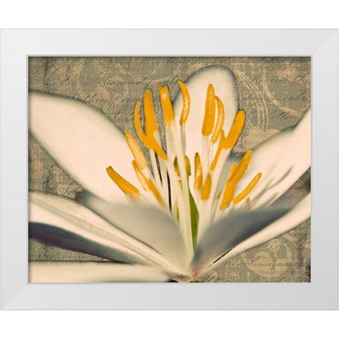Puccoon on Damask I White Modern Wood Framed Art Print by Mansfield, Kathy