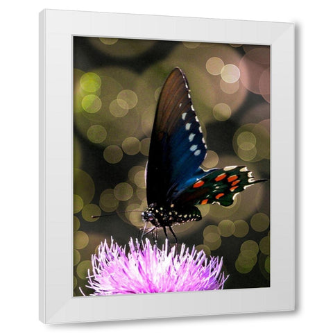 Butterfly Bokeh I White Modern Wood Framed Art Print by Mansfield, Kathy