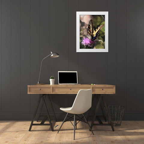 Butterfly Bokeh II White Modern Wood Framed Art Print by Mansfield, Kathy
