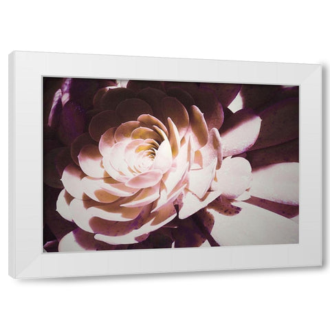 Beautiful Blushing Succulent White Modern Wood Framed Art Print by Mansfield, Kathy