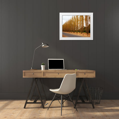 Versailles in Fall I White Modern Wood Framed Art Print by Navas, Emily