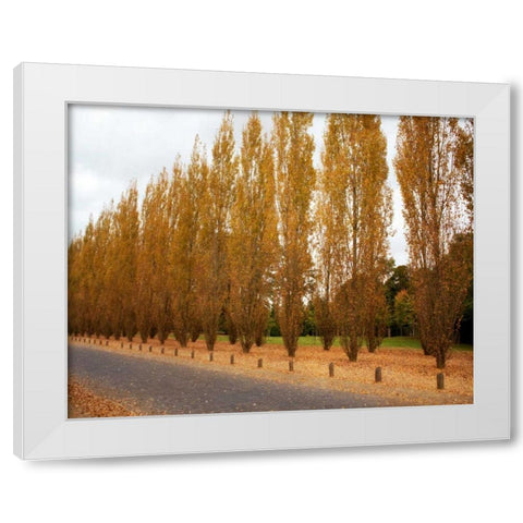 Versailles in Fall I White Modern Wood Framed Art Print by Navas, Emily