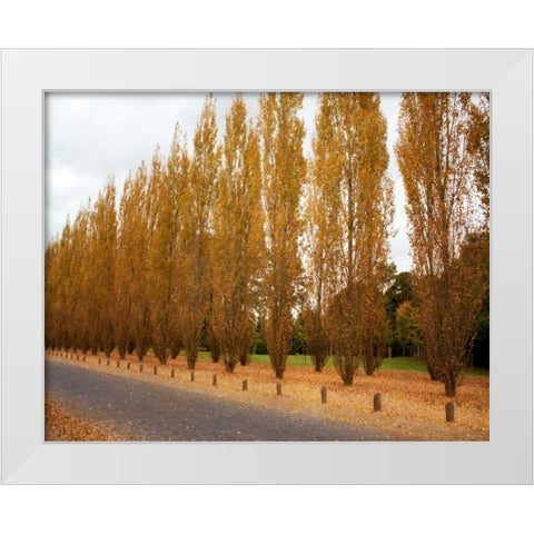 Versailles in Fall I White Modern Wood Framed Art Print by Navas, Emily