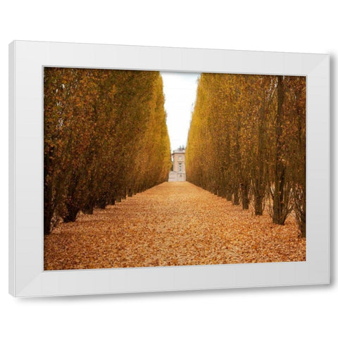 Versailles in Fall II White Modern Wood Framed Art Print by Navas, Emily