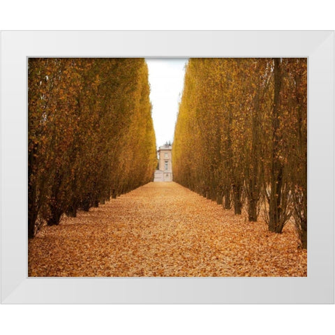 Versailles in Fall II White Modern Wood Framed Art Print by Navas, Emily