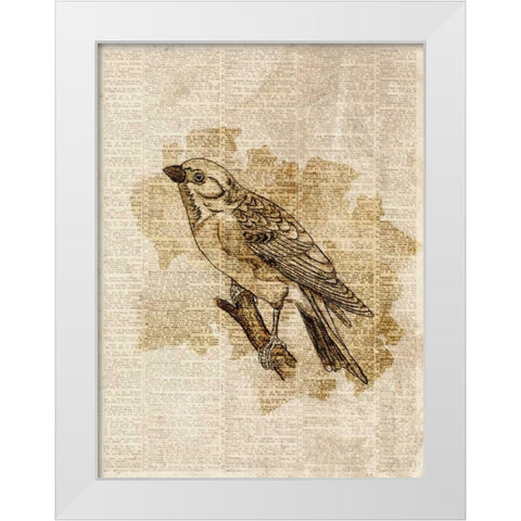 Vintage Bird I White Modern Wood Framed Art Print by Studio, Sd Graphics