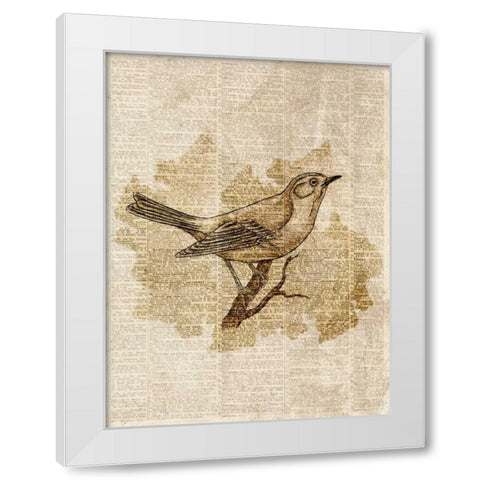 Vintage Bird II White Modern Wood Framed Art Print by Studio, Sd Graphics