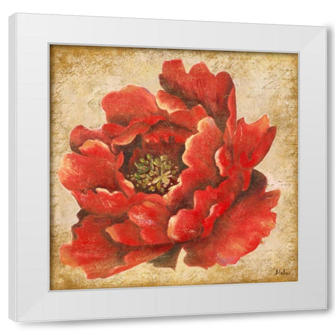 Red Peony on Gold White Modern Wood Framed Art Print by Pinto, Patricia
