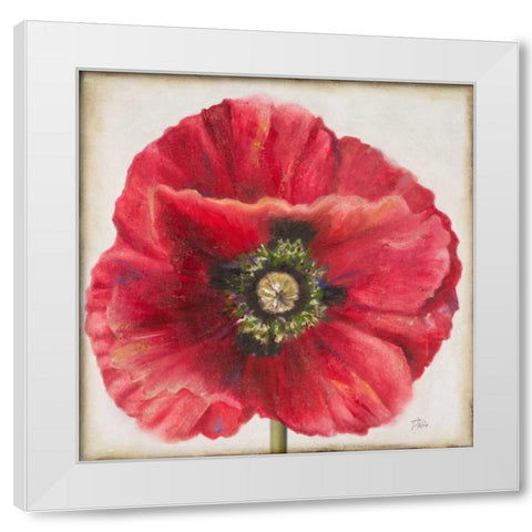 Red Poppy White Modern Wood Framed Art Print by Pinto, Patricia