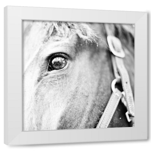 In the Stable I White Modern Wood Framed Art Print by Bryant, Susan