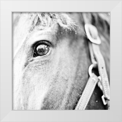 In the Stable I White Modern Wood Framed Art Print by Bryant, Susan