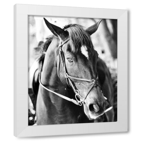 Derby I White Modern Wood Framed Art Print by Bryant, Susan