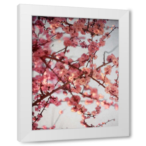 Cherry Blossoms I White Modern Wood Framed Art Print by Bryant, Susan