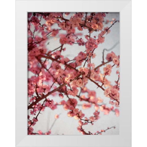 Cherry Blossoms I White Modern Wood Framed Art Print by Bryant, Susan