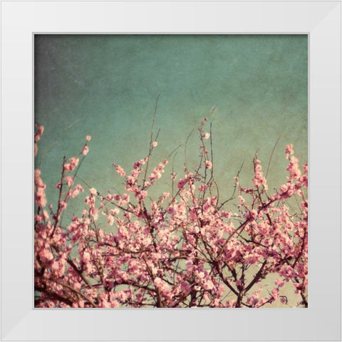Springtime II White Modern Wood Framed Art Print by Bryant, Susan