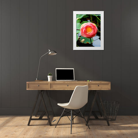 Red Lotus II White Modern Wood Framed Art Print by Rodriguez, Jairo