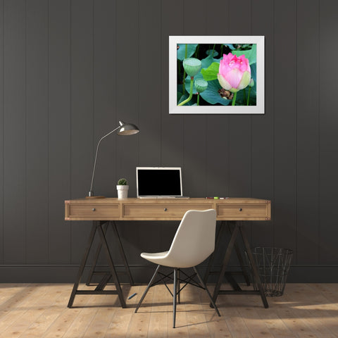 Purple Lotus I White Modern Wood Framed Art Print by Rodriguez, Jairo