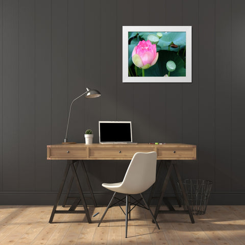 Purple Lotus II White Modern Wood Framed Art Print by Rodriguez, Jairo