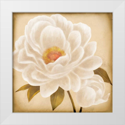 White Peonies I White Modern Wood Framed Art Print by Rhyan, Vivien