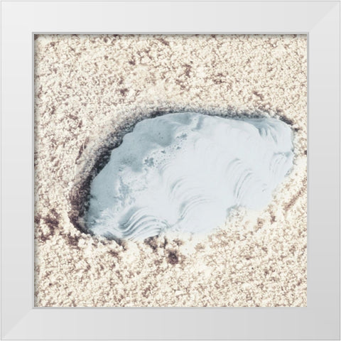 Blue Conch White Modern Wood Framed Art Print by Mansfield, Kathy
