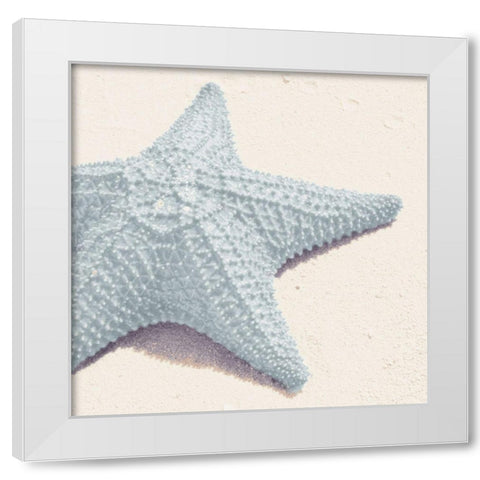 Blue Starfish White Modern Wood Framed Art Print by Mansfield, Kathy