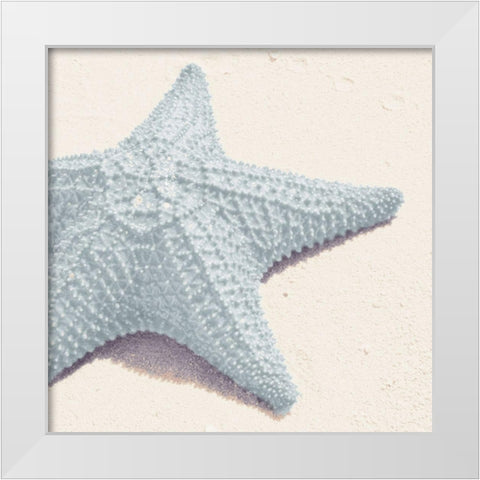Blue Starfish White Modern Wood Framed Art Print by Mansfield, Kathy