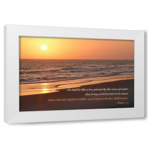Sunrise II White Modern Wood Framed Art Print by Mansfield, Kathy