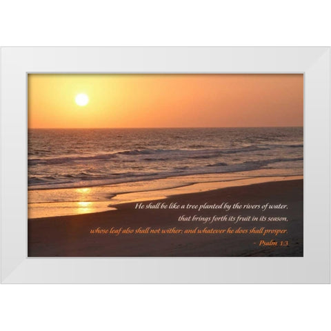 Sunrise II White Modern Wood Framed Art Print by Mansfield, Kathy